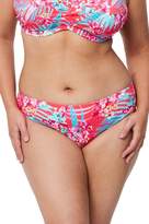 Thumbnail for your product : Freya Wild Sun Bikini Brief