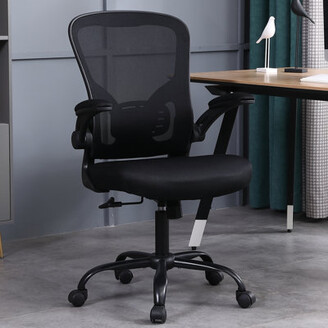 https://img.shopstyle-cdn.com/sim/24/20/24209f3402aa333bc98e07d9fb256aa3_xlarge/ergonomic-home-office-mesh-task-chair-desk-chair-with-flip-up-armrest.jpg