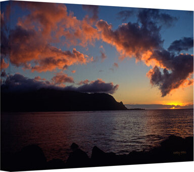 ArtWall By Kathy Kates - Wrapped Canvas Photograph Print