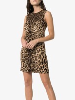 Thumbnail for your product : Dolce & Gabbana leopard-print A-line minidress