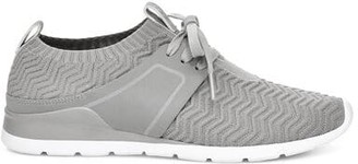 seal willows sneaker ugg