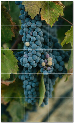 Picture-Tiles.com Wine Photo 8'' x 8'' Satin Ceramic Decorative Mural