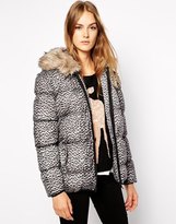 Thumbnail for your product : French Connection Wildcat Padded Jacket