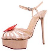 Thumbnail for your product : Charlotte Olympia Suede Crystal Embellishments Sandals