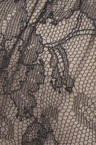 Thumbnail for your product : Antonio Berardi Silk-chiffon and lace gown