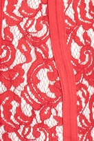 Thumbnail for your product : Tadashi Shoji Corded Lace Sheath Dress