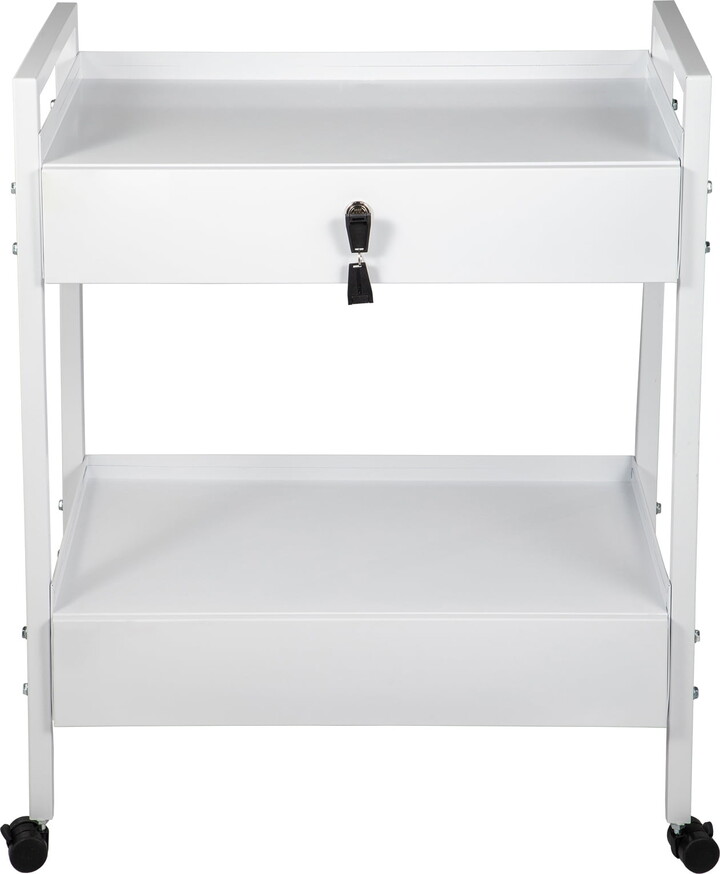 KFFKFF Laboratory Trolley, Dual-Level Stainless Utility Vehicle, Healthcare Trolley with Pair of Compartments, Mobile Laboratory Trolley with White Coating, Service Trolley with Rotating Wheels