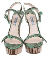 Thumbnail for your product : Prada Bow-Accented Snakeskin Sandals
