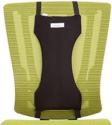 Backbone Pet Supply Back Bone Lower Back Pain Relief Lumbar Support Pillow Cushion Mid-Back Thoracic Support for Office Chair For Car 7299
