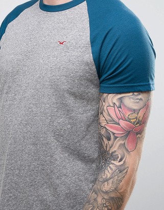 Hollister Slim Fit Pocket T-Shirt Contrast Raglan Sleeve In Grey
