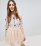 Thumbnail for your product : ASOS Petite DESIGN Petite pastel embroidered tulle mini dress-Pink