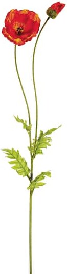 Allstate Flame Poppy Spray