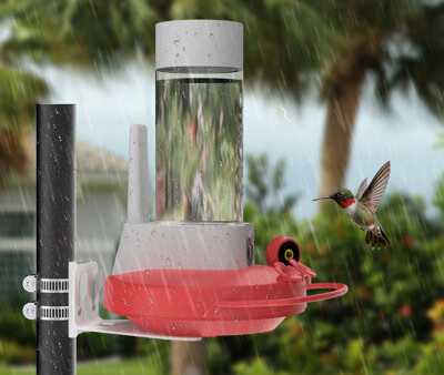 NETVUE Birdfy Hummingbird Feeder with 2 Cameras Solar Powered - Dual Smart Cams, 2K HD Wireless for 2 Angels Close-up Bird Watching Outdoor, Instant N