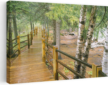 Union Rustic Boardwalk Along A River Gooseberry River Gooseberry Falls State Park Minnesota Abstract Contemporary Landscape Nature Art