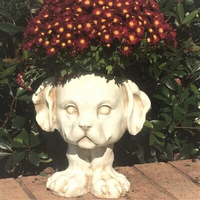 Home Styles Muggly's Muttley the Dog Animal Statue Planter - ShopStyle  Garden Decor