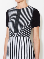 Thumbnail for your product : Peter Som Striped Mini Dress