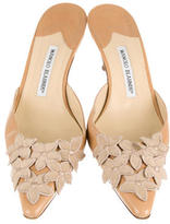 Thumbnail for your product : Manolo Blahnik Mules