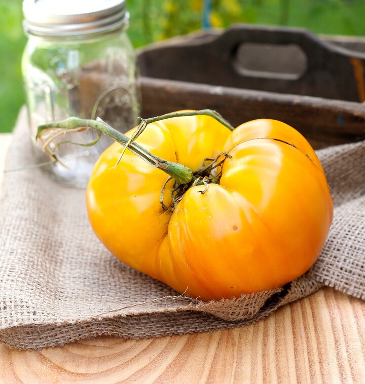 King Of Siberia Heirloom Tomato Premium Seed Packet