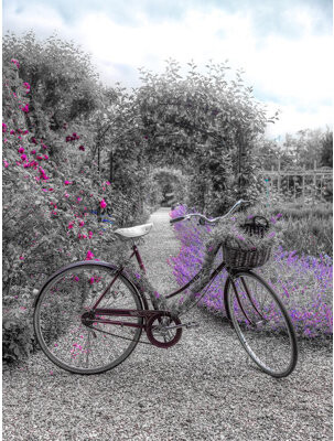 Gracie Oaks Bicycle On A Garden Path Poster Print By Assaf Frank (24 X 36) # AF20160621071XC01