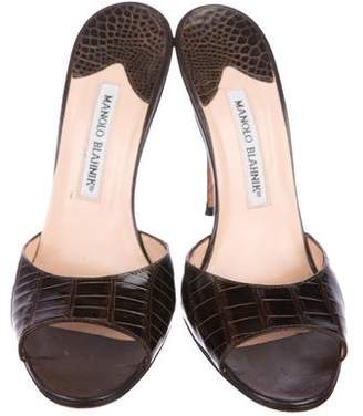Manolo Blahnik Alligator Slide Sandals