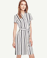 Thumbnail for your product : Ann Taylor Double Stripe Shirtdress