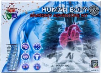 Explorer-U Human Body Anatomy Adventure Kit By Tedco Toys