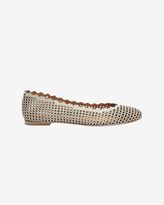 Thumbnail for your product : Chloé Scalloped Edge Perforated Ballet Flat: Grey
