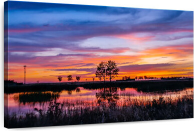 Millwood Pines Alvord Santiago De Compostela Pilgrimage