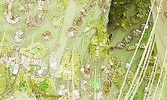 ASOS DESIGN EDITION Sequin Faux Feather Trim Long Sleeve Cocktail Minidress