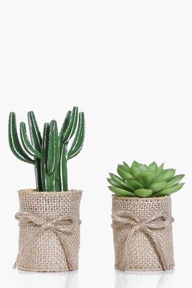 boohoo 2 Hessian Wrap Faux Cactus & Aloe Plants green