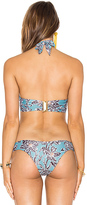 Thumbnail for your product : Beach Riot Saltwater Bikini Top