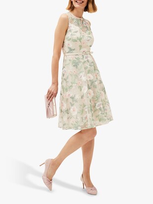 Phase Eight Knee Length Women's Dresses | Shop the world's largest 