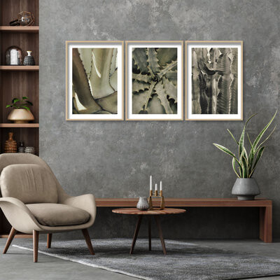 Ready2hangart Succulents by 1X - 3 Piece Picture Frame Print Set on Wood