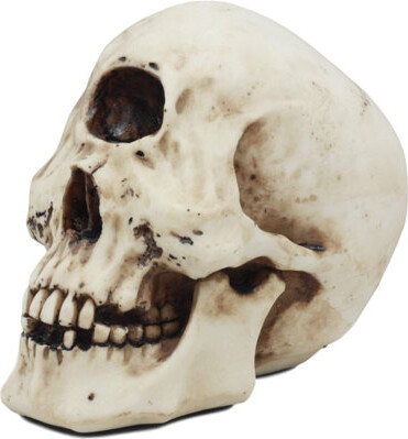 Trinx Harrielson Harrielson Cyclops Skull