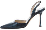 Thumbnail for your product : Jimmy Choo Python Slingback Pumps