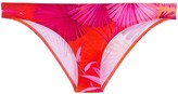 Thumbnail for your product : Versace Jungle bikini bottoms