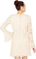 Thumbnail for your product : Betsey Johnson BELLA LACE BELL SLEEVE DRESS