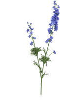 Thumbnail for your product : Marks and Spencer Artificial Larkspur