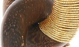 Thumbnail for your product : Oscar de la Renta Wooden Link Earrings
