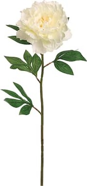 Allstate 24 Pack: Pearl Peony Stem By in Pear Greenl
