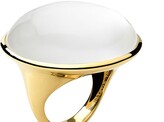 Thumbnail for your product : Ippolita 18kt yellow gold Luce large oval ring