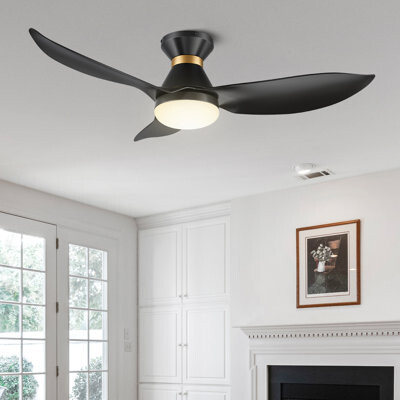 Wrought Studio Dyonne Ceiling Fan with LED Lights