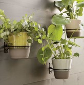 Thumbnail for your product : Crate & Barrel Wall Planter Hook
