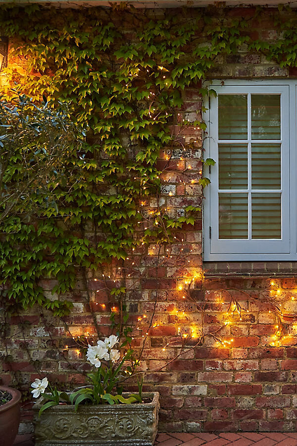 Solar LED Ivy Branch Lights at Terrain