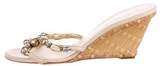 Thumbnail for your product : Giuseppe Zanotti Embellished Slide Wedge Sandals