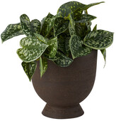Thumbnail for your product : AYTM Brown Terra Vase