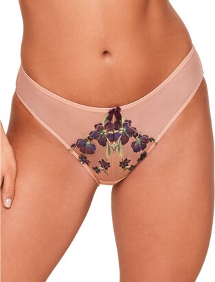 Adore Me Women' Daphne Bikini Panty XL / Daphne C01 Fuchia/Orange