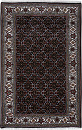 Isabelline 3''X5''1\