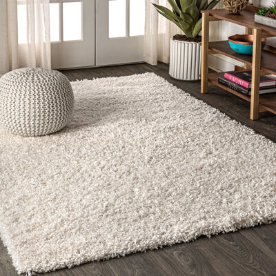 Ebern Designs Felicdad Shag Plush Cream Rug