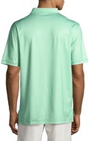 Thumbnail for your product : Peter Millar Setter Polo Shirt, Bright Green